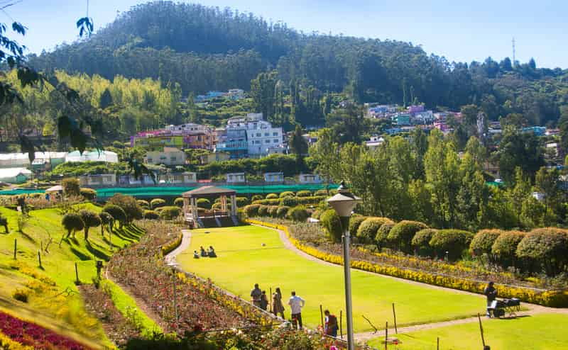 ooty