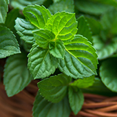 mint