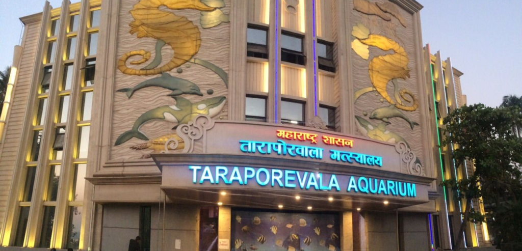 taraporewala aquarium
