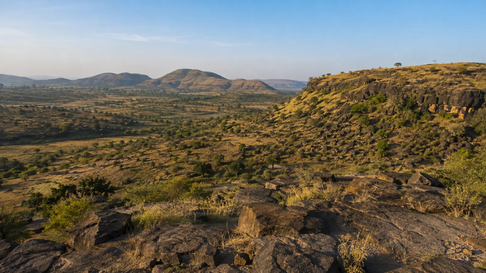 Rocky Deccan plateau landscape with scrub vegetation and distant low hills.
