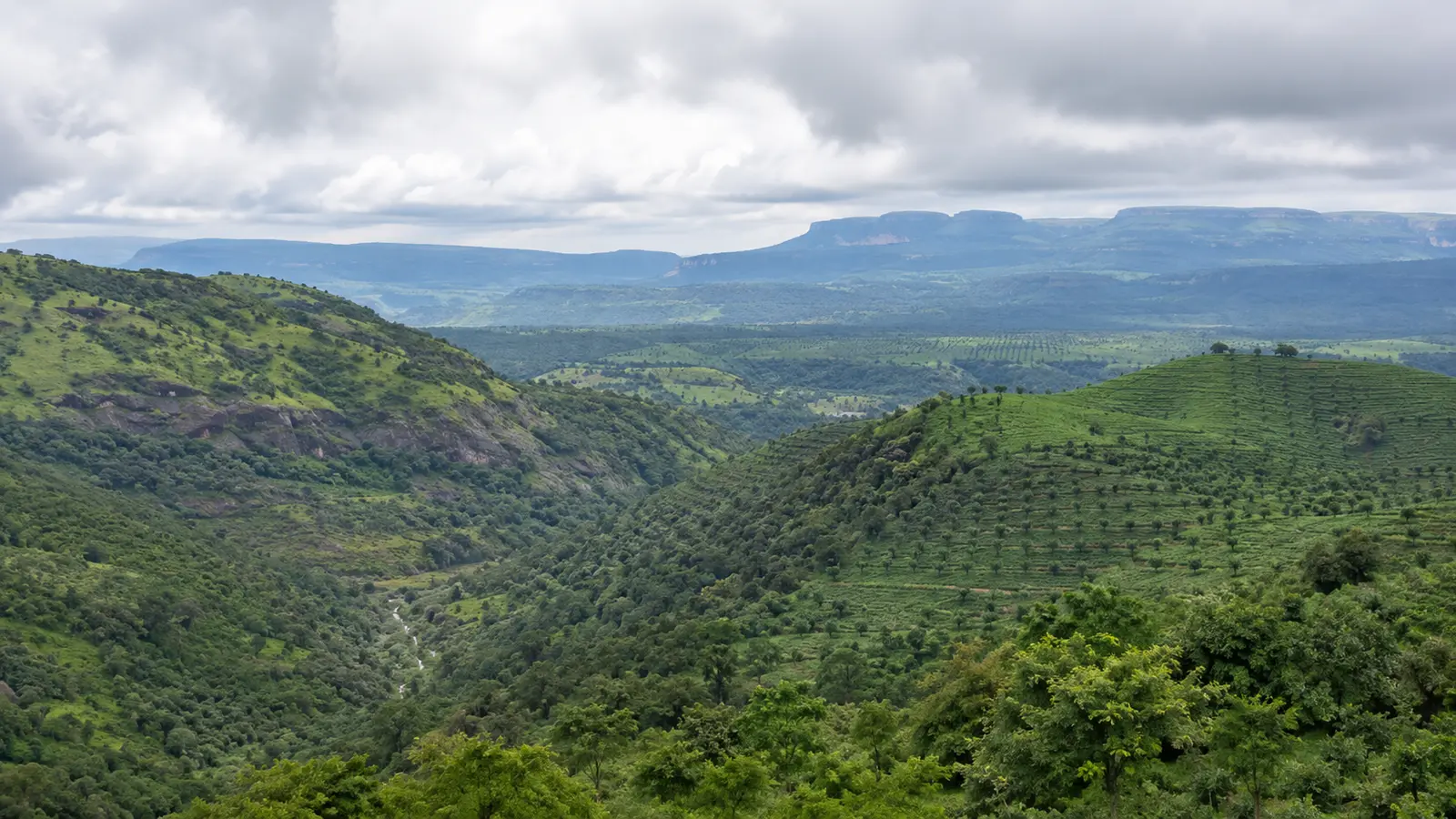 Green highland slopes and layered hills near the Western Ghats edge of the Deccan.